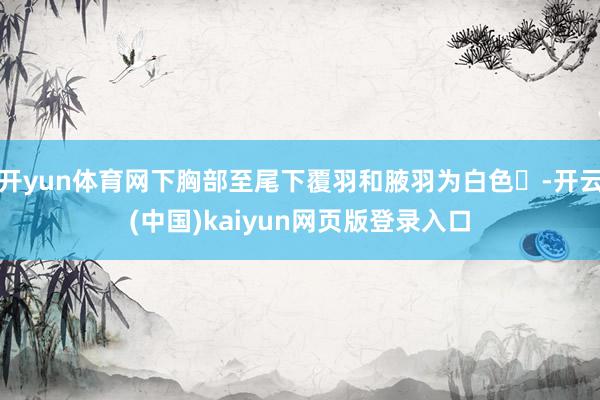 开yun体育网下胸部至尾下覆羽和腋羽为白色‌-开云(中国)kaiyun网页版登录入口