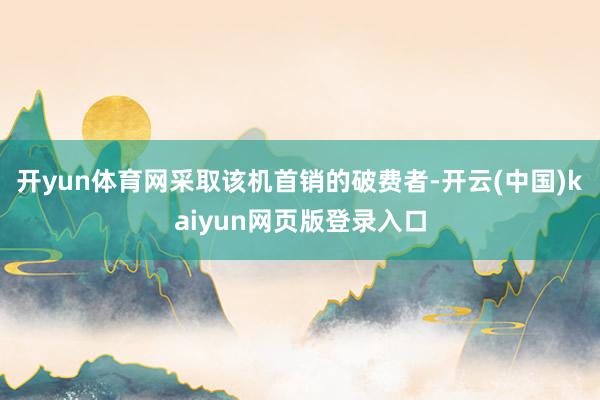开yun体育网采取该机首销的破费者-开云(中国)kaiyun网页版登录入口