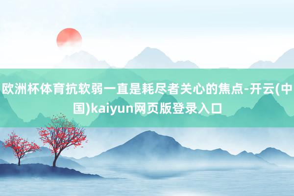 欧洲杯体育抗软弱一直是耗尽者关心的焦点-开云(中国)kaiyun网页版登录入口