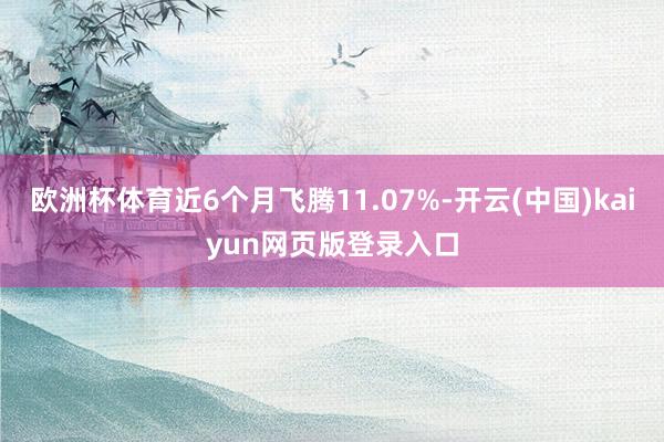 欧洲杯体育近6个月飞腾11.07%-开云(中国)kaiyun网页版登录入口