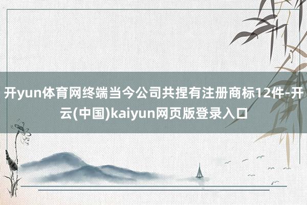 开yun体育网终端当今公司共捏有注册商标12件-开云(中国)kaiyun网页版登录入口