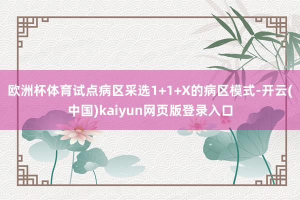 欧洲杯体育试点病区采选1+1+X的病区模式-开云(中国)kaiyun网页版登录入口