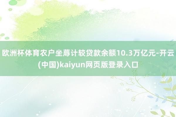 欧洲杯体育农户坐蓐计较贷款余额10.3万亿元-开云(中国)kaiyun网页版登录入口